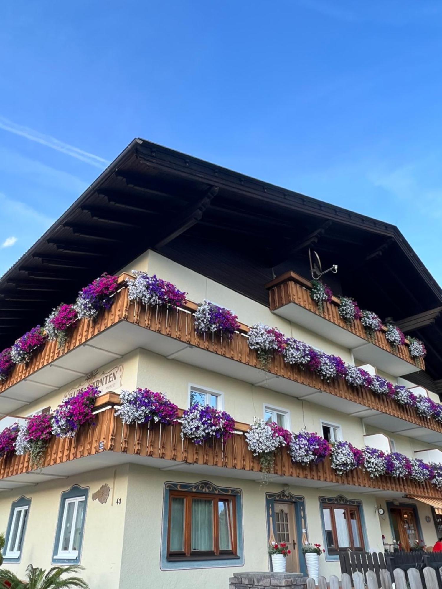 Haus Kaernten دوبرياخ المظهر الخارجي الصورة