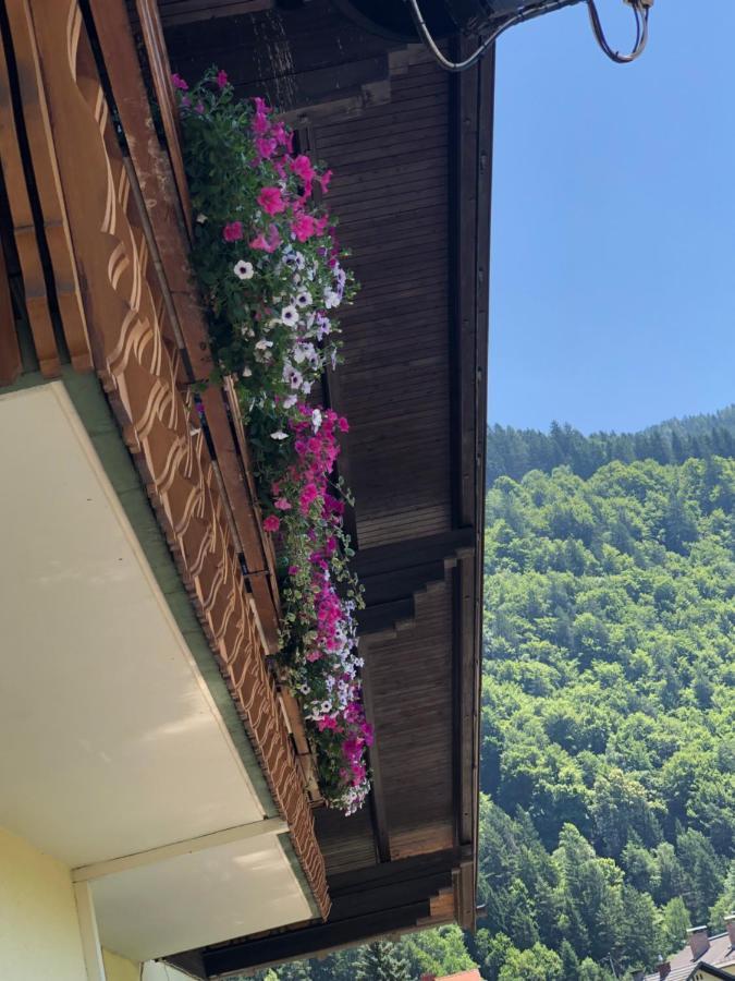 Haus Kaernten دوبرياخ المظهر الخارجي الصورة
